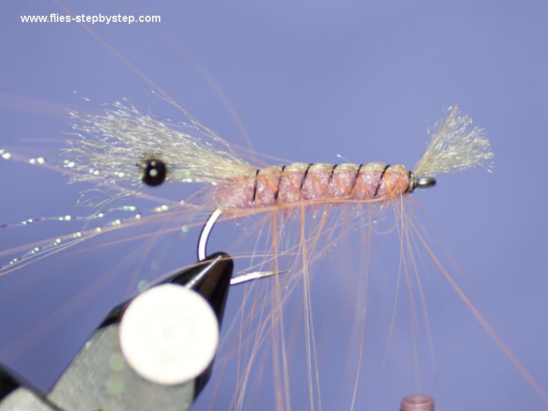 Shrimp fly pattern How to tie fly, Fly tying Step by Step Patterns